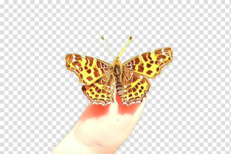 moths and butterflies butterfly cynthia (subgenus) insect pollinator, Cartoon, Cynthia Subgenus, Finger, Brushfooted Butterfly, Riodinidae transparent background PNG clipart