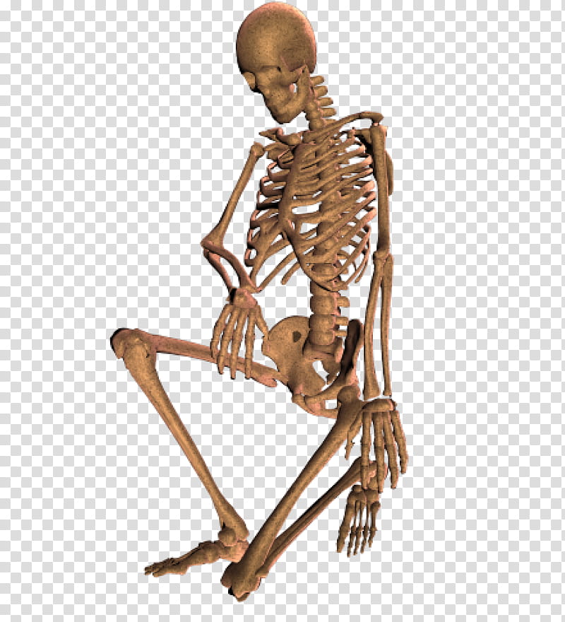 Skeletons of , brown human skeleton sitting transparent background PNG clipart