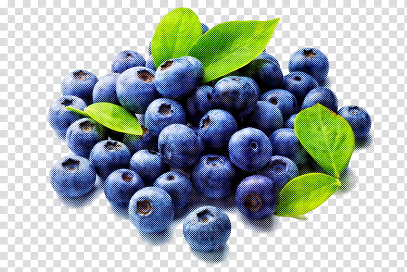 berry bilberry blue natural foods blueberry, Fruit, Superfood, Huckleberry, Plant transparent background PNG clipart