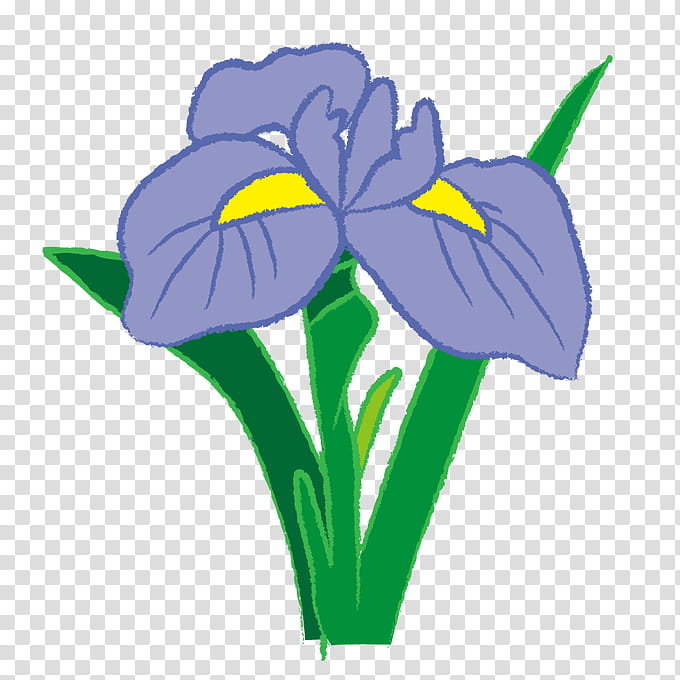 Family Silhouette, Irises, Iris Flower Data Set, Plant, Yellow, Flora, Violet, Purple transparent background PNG clipart