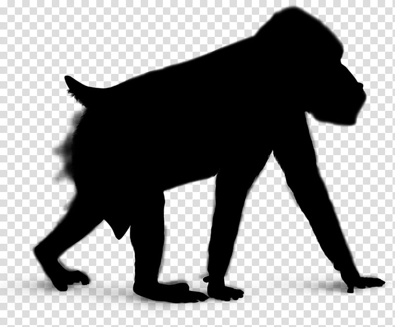 Monkey, Gorilla, Silhouette, Drawing, Old World Monkey, Wildlife transparent background PNG clipart