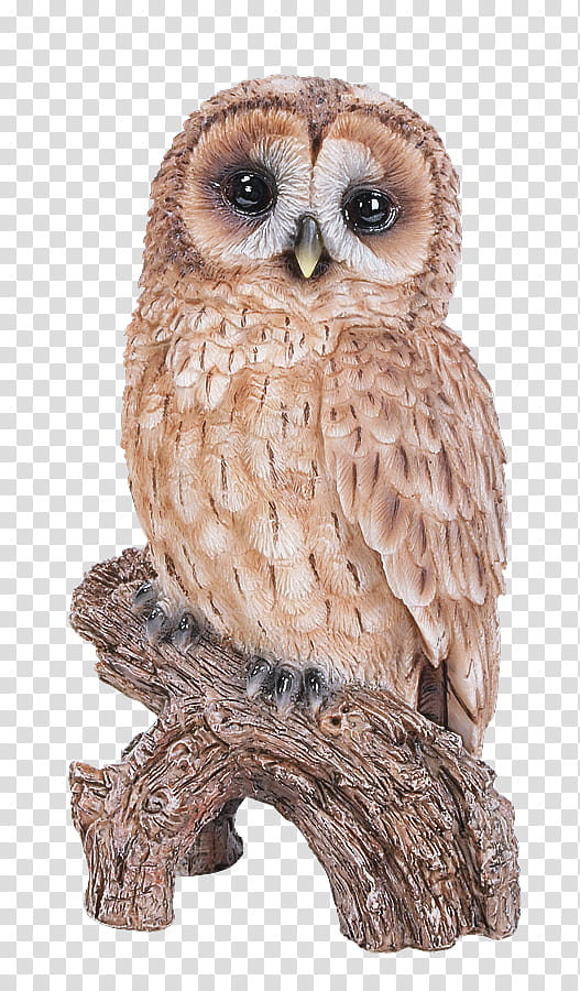 owl bird bird of prey animal figure barn owl, Carving, Figurine, Great Grey Owl, Screech Owl, Eastern Screech Owl transparent background PNG clipart