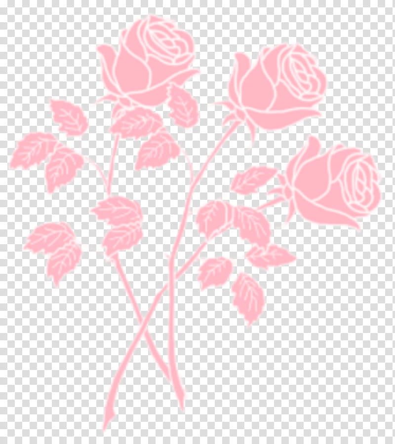 Free download  Pink Flowers, Rose, Aesthetics, Blue Rose, Drawing