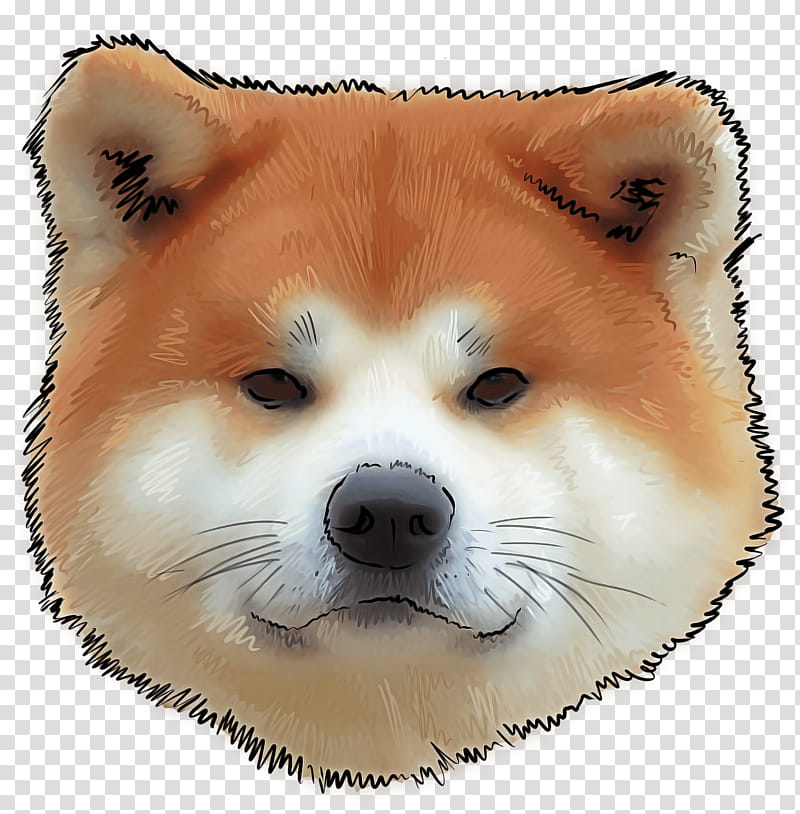 dog shiba inu akita akita inu dog breed, Spitz transparent background PNG clipart