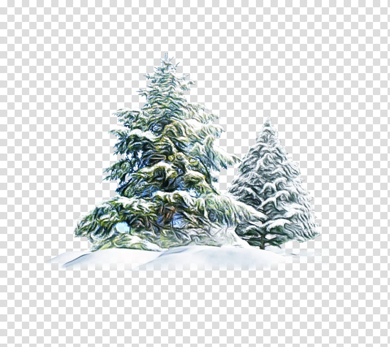 Christmas Black And White, Spruce, Christmas Tree, Fir, Lidong, Winter
, Christmas Day, Snow transparent background PNG clipart