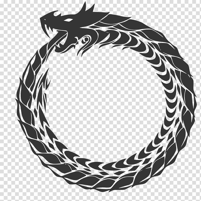 Circle Design, Ouroboros, Symbol, Dragon, Black And White
, Line, Chain transparent background PNG clipart
