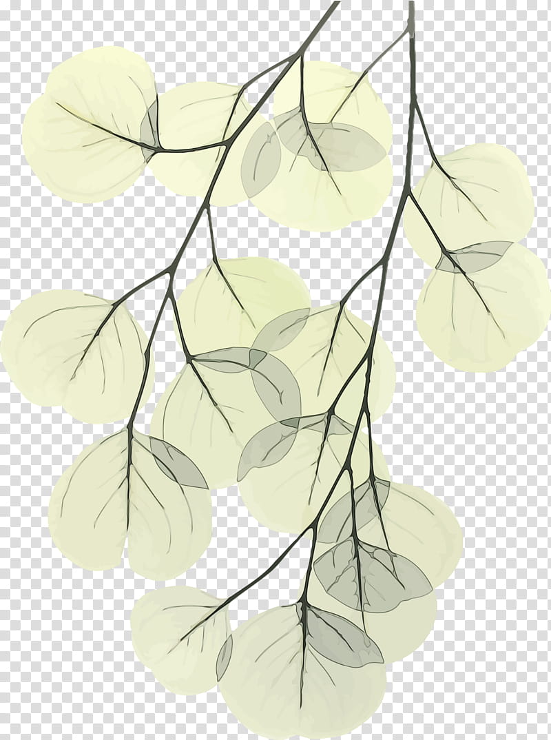 leaf branch plant line tree, Bodhi Leaf, Bodhi Day, Watercolor, Paint, Wet Ink, Twig, Plant Stem transparent background PNG clipart