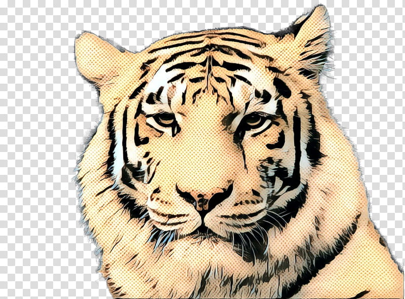 Cats, Pop Art, Retro, Vintage, Tyger, Siberian Tiger, Youtube, Animal transparent background PNG clipart