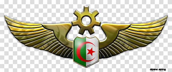 Algerian Air Force Wings transparent background PNG clipart