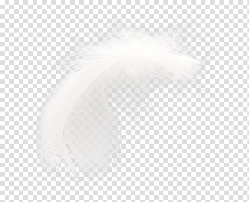 Princess, white feather screenshot transparent background PNG clipart