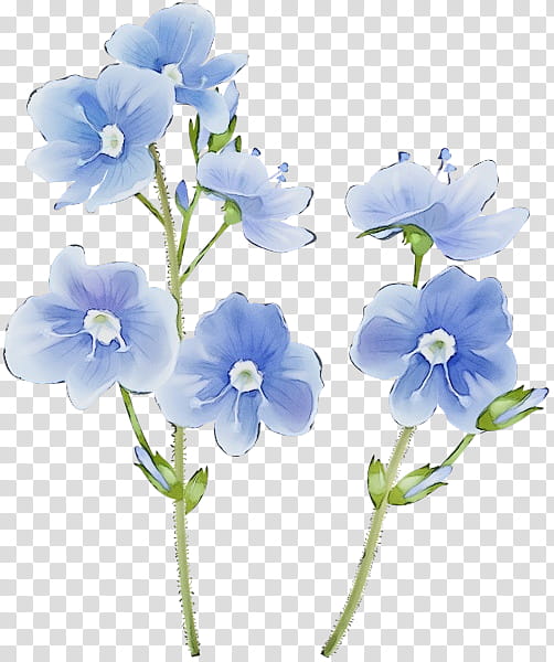 Blue Watercolor Flowers, Paint, Wet Ink, Wildflower, Tshirt, Floral Design, Garden Roses, Flower Girl transparent background PNG clipart