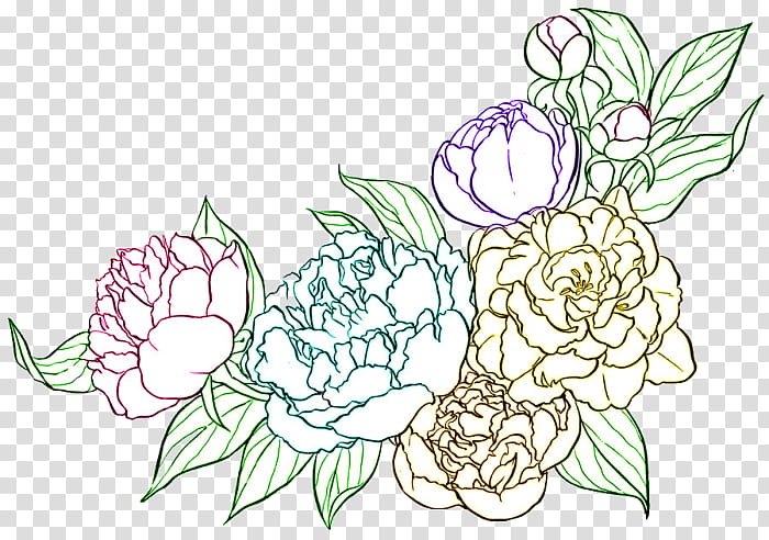 Flower Line Art, Peony, Coloring Book, Drawing, Painting, Page, Common Peony, Tattoo transparent background PNG clipart