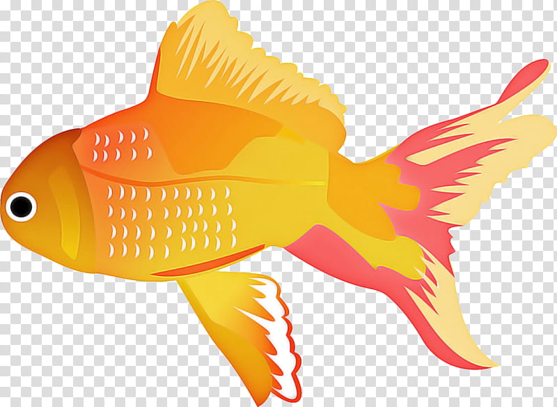 fish fish fin goldfish butterflyfish, Animal Figure, Coral Reef Fish, Bonyfish transparent background PNG clipart