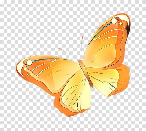 Monarch butterfly, Orange, Insect, Moths And Butterflies, Pollinator, Brushfooted Butterfly, Brimstones, Pieridae transparent background PNG clipart