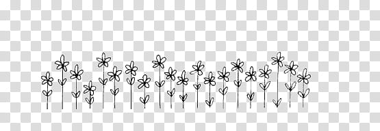 Full, bed of white flowers transparent background PNG clipart