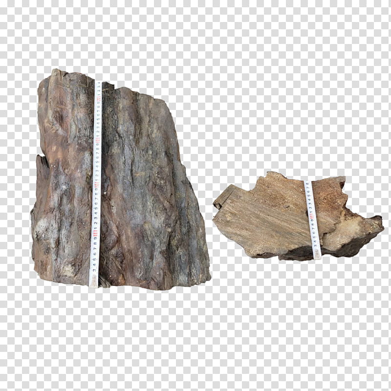 Rock, Outcrop, Igneous Rock, Bedrock, Wood, Formation, Geology, Beige transparent background PNG clipart