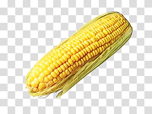 Watercolor, Paint, Wet Ink, Maize, Corn On The Cob, Sweet Corn, Corn Kernel, Corn Flakes transparent background PNG clipart thumbnail