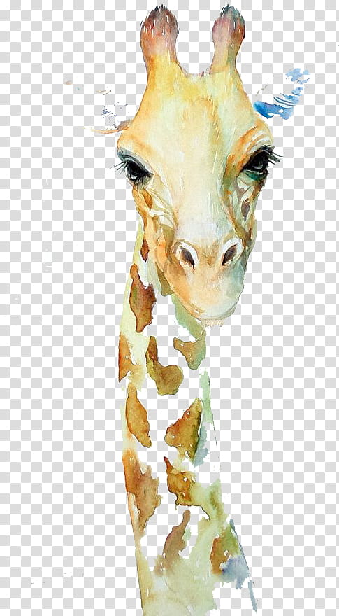 Watercolor Animal, Watercolor Painting, Acuarela Watercolor, Watercolor Animals, Drawing, Northern Giraffe, Aquarell Malen, Giraffidae transparent background PNG clipart