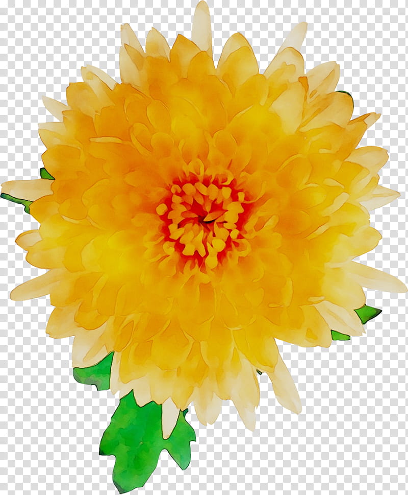 Artificial Flower, Sunflower, Yellow, English Marigold, Plant, Petal, Cut Flowers, Pollen transparent background PNG clipart