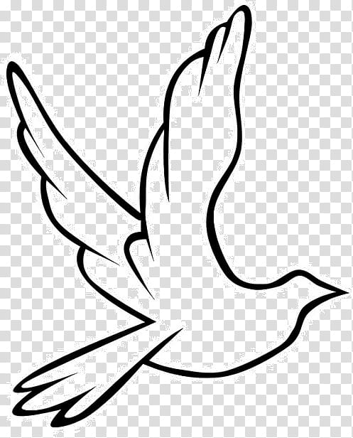Book Black And White, Pigeons And Doves, Dove Clip, Drawing, Line Art, Head, Bird, Beak transparent background PNG clipart
