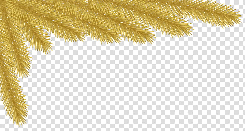 Palm Tree, Christmas Day, Christmas Decoration, Yellow, Sky, Plant, Fur, Fir transparent background PNG clipart