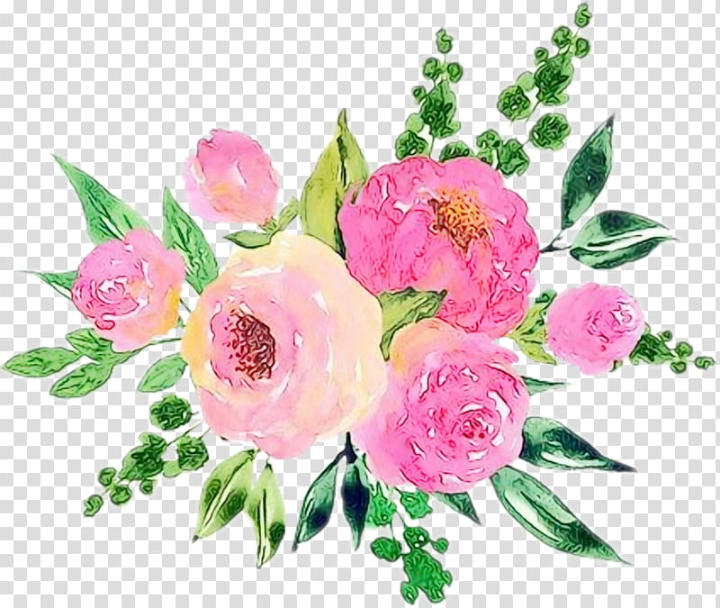 Flower Art Watercolor, Garden Roses, Cabbage Rose, Cut Flowers, Floral Design, Flower Bouquet, Peony, Petal transparent background PNG clipart