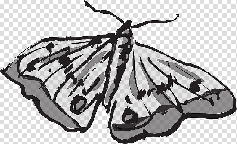 Monarch Butterfly Drawing, Brushfooted Butterflies, Moth, Moths And Butterflies, Insect, Brimstones, Pollinator, Blackandwhite transparent background PNG clipart