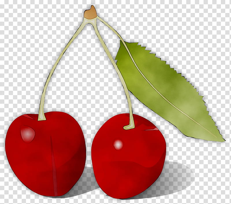 Christmas Tree Red, Cherries, Cartoon, Wild Cherry, Piano, Life Savers, Plant, Leaf transparent background PNG clipart