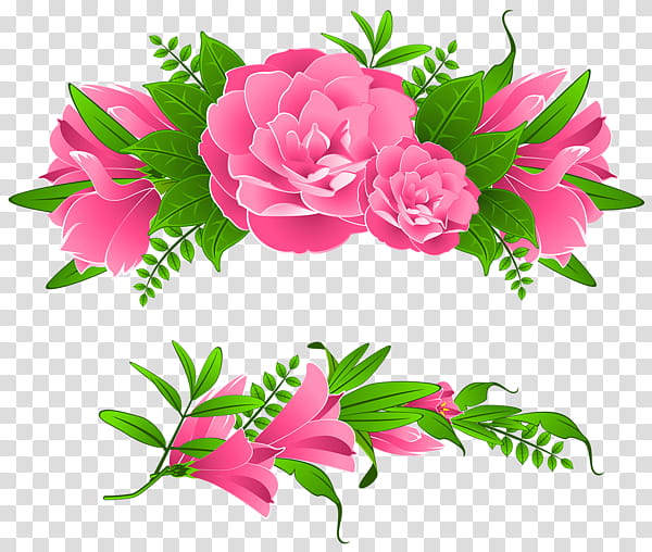 NATURE S ARCHIVES, pink flower illustration transparent background PNG clipart