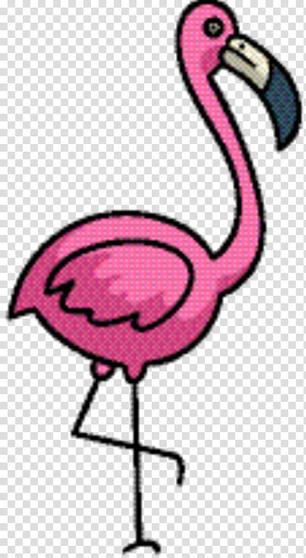 Pink Flamingo, Beak, Bird, Cartoon, Water Bird, Pink M, Line, Meter transparent background PNG clipart