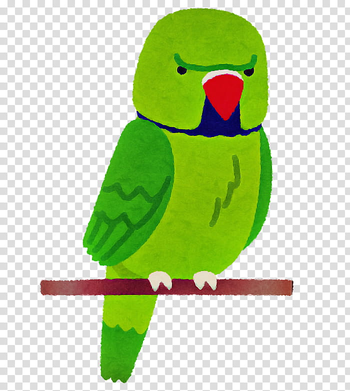 Lovebird, Green, Parrot, Parakeet, Budgie, Beak, Bird Supply, Bird Toy transparent background PNG clipart