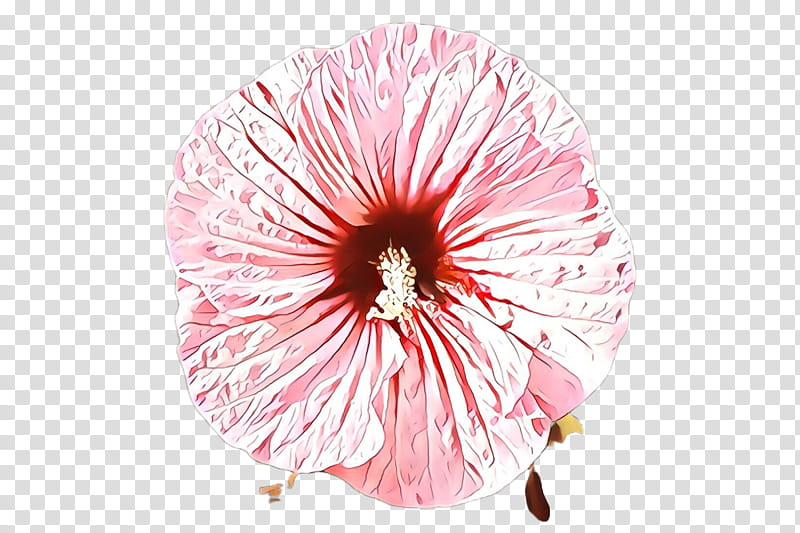 flower pink petal plant hibiscus, Petunia, Mallow Family, Pink Family, Herbaceous Plant, Geranium, Wildflower, Cut Flowers transparent background PNG clipart