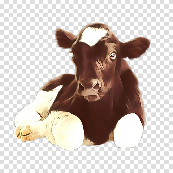 calf bovine dairy cow nose brown, Cartoon, Cowgoat Family, Live, Ear, Bull, Horn transparent background PNG clipart