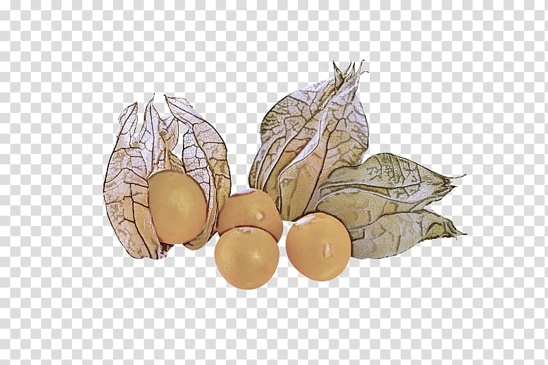 peruvian groundcherry fruit leaf plant nut, Food, Legume, Perennial Plant transparent background PNG clipart
