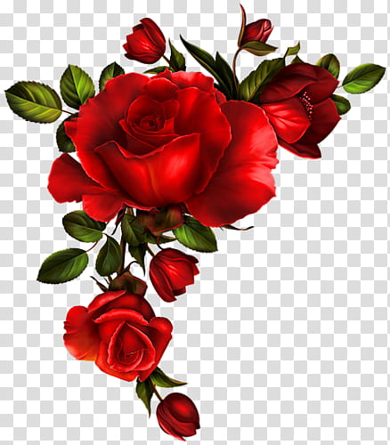 Vintage Flowers, red roses illustration transparent background PNG clipart