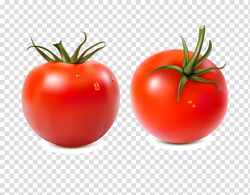 Vegetable, Plum Tomato, Food, Organic Food, Bush Tomato, Natural Foods, Solanum, Red transparent background PNG clipart