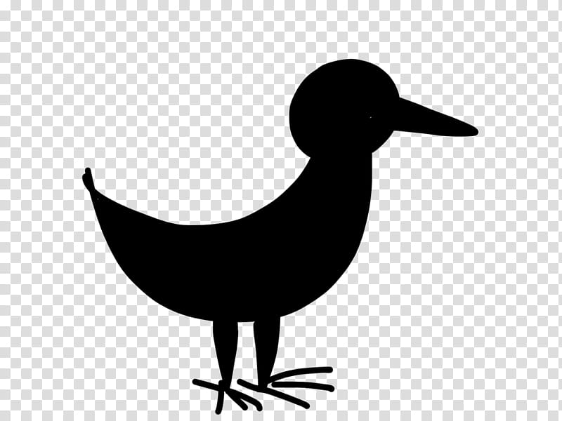 Bird Silhouette, Neck, Beak, Duck, Water Bird, Ducks Geese And Swans, Waterfowl, Goose transparent background PNG clipart