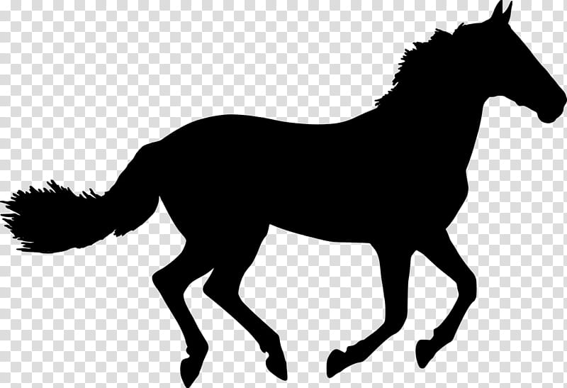 Horse, Mustang, Silhouette, Horse Racing, Stallion, Mane, Jumping, Collection transparent background PNG clipart