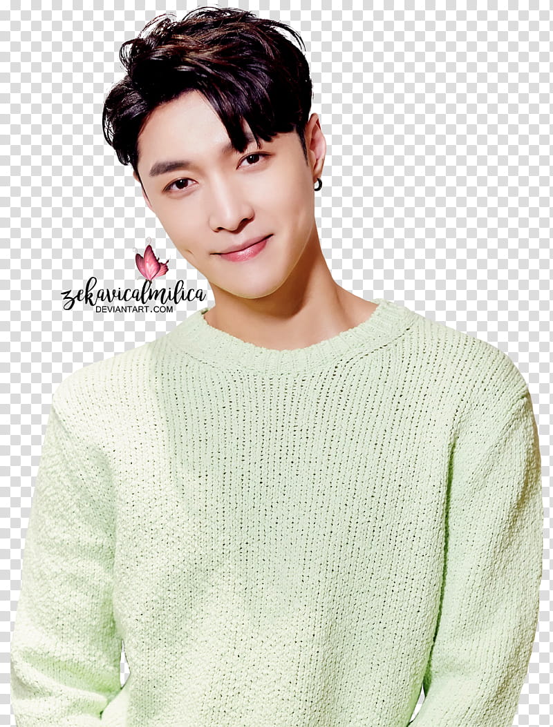 EXO Lay , smiling man in green sweater transparent background PNG clipart