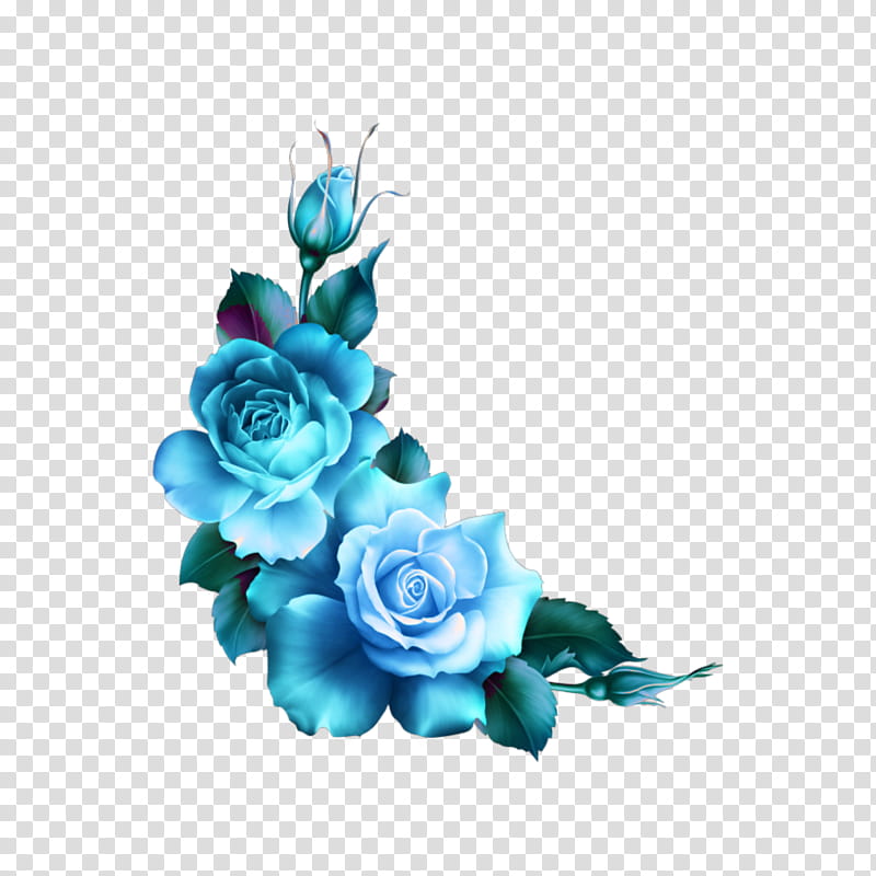 Bouquet Of Flowers Drawing, Rose, Watercolor Painting, Garden Roses, Blue Rose, Floral Design, Flower Garden, Turquoise transparent background PNG clipart