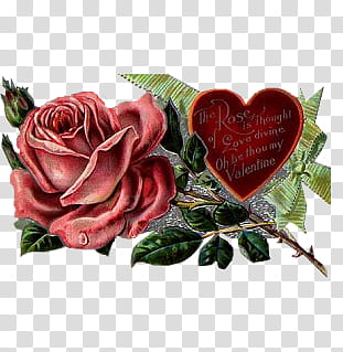 Vintage, red rose flower and heart box transparent background PNG clipart