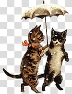 Vintage, two brown cats under umbrella transparent background PNG clipart