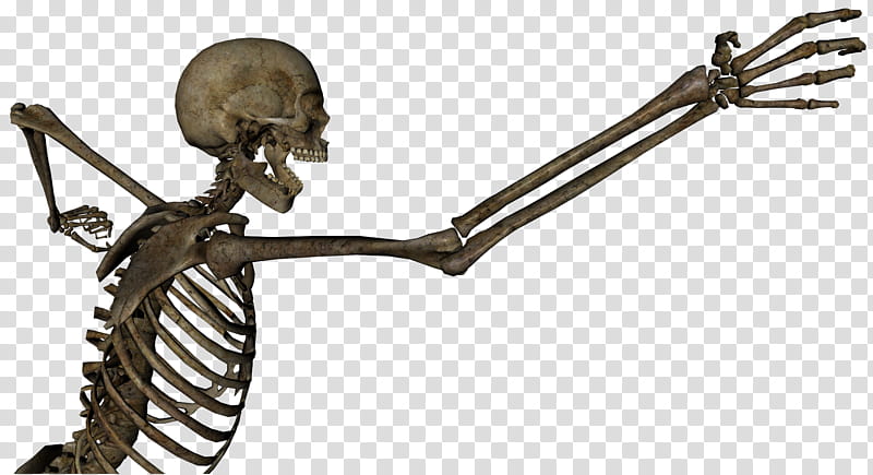 Skeleton Grasping , human skeleton illustration transparent background PNG clipart