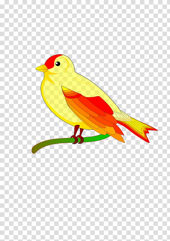 Bird Parrot, Bird Flight, Beak, Drawing, Yellow, Feather, Old World Oriole, Finch transparent background PNG clipart