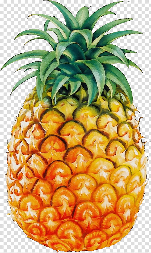 Watercolor Natural Paint Wet Ink Juice Pineapple Pineapple Bun Fruit Food Transparent