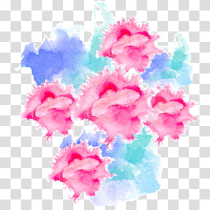 pink watercolor paint flower plant petal, Magenta, Pink Family transparent background PNG clipart thumbnail