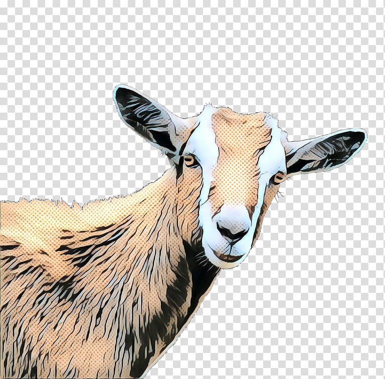 Goat, Cattle, Snout, Goats, Wildlife, Cowgoat Family, Goatantelope, Horn transparent background PNG clipart