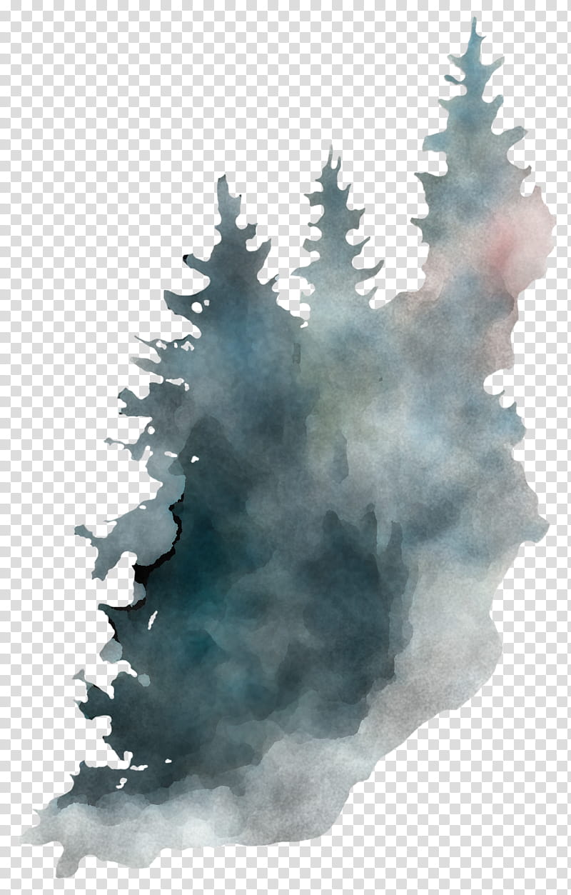 tree atmospheric phenomenon sky colorado spruce pine family, Watercolor Paint, Plant, Geological Phenomenon, Conifer, Fir transparent background PNG clipart