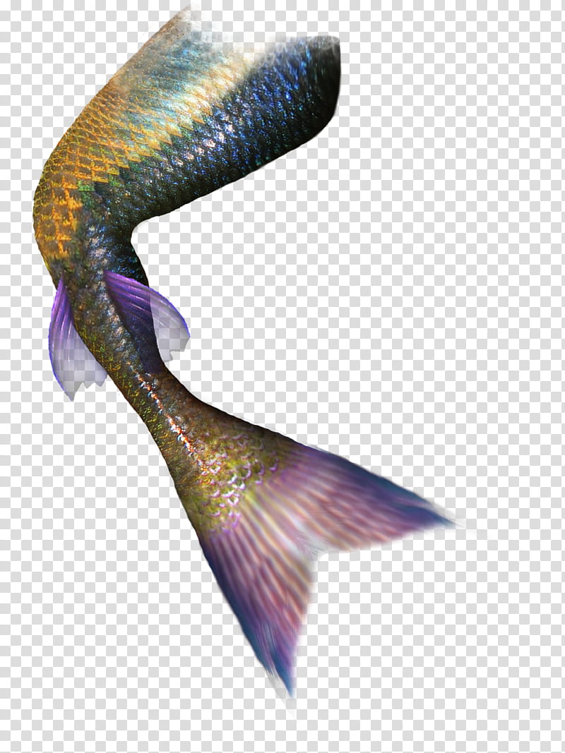 colas, blue and yellow mermaid tail illustration transparent background PNG clipart