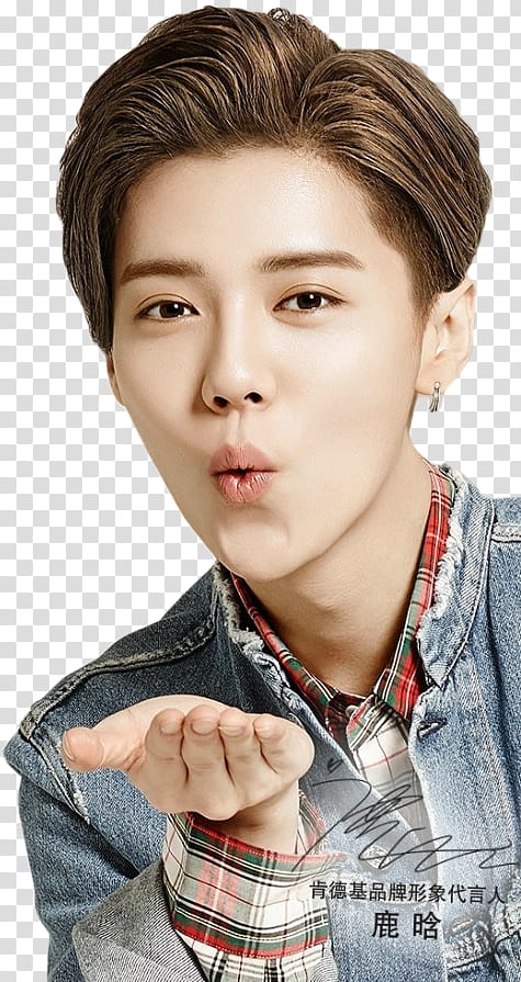 Lu Han KFC PT transparent background PNG clipart